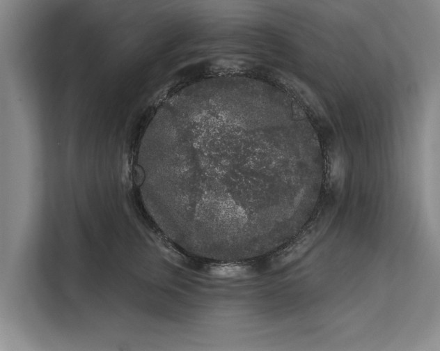 X0000112360759200908271253