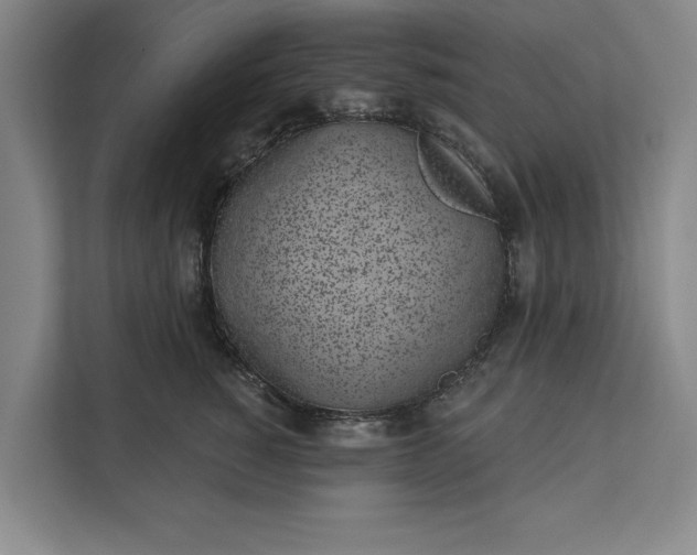 X0000112360760200908271253