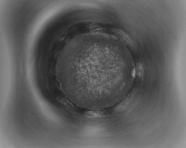 X0000112360763200908271253