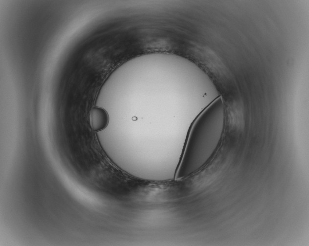 X0000112360764200908271253