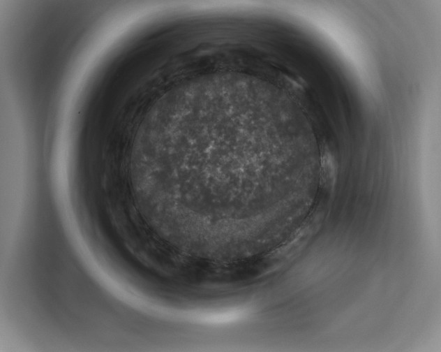 X0000112360765200908271253