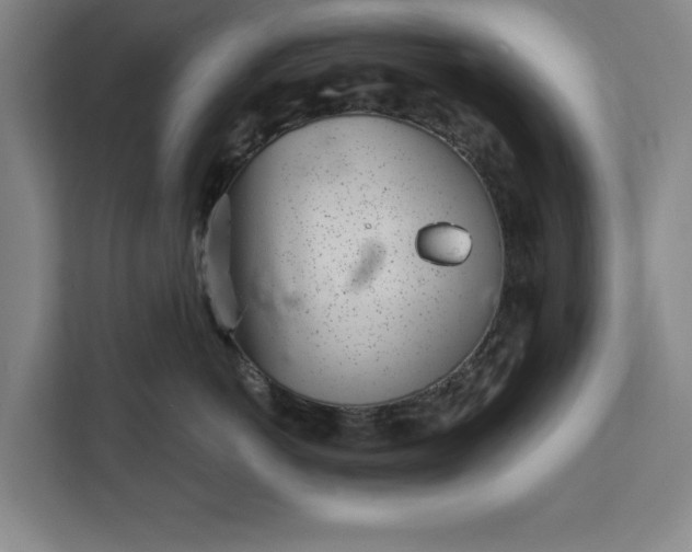 X0000112360766200908271253