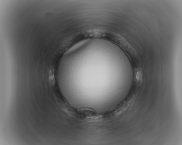 X0000112360771200908271252