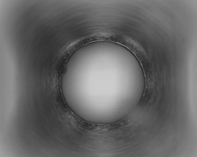 X0000112360773200908271252