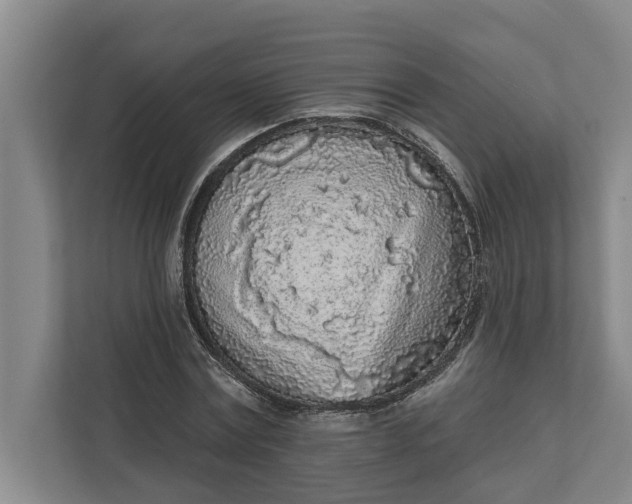 X0000112360779200908271252