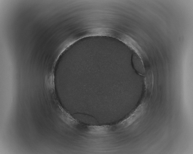 X0000112360781200908271252