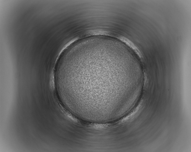 X0000112360782200908271252