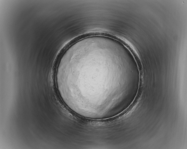 X0000112360783200908271252