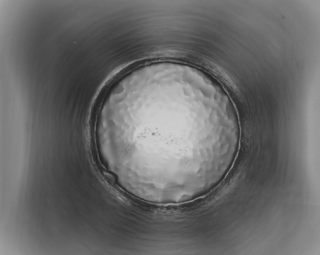 X0000112360784200908271252