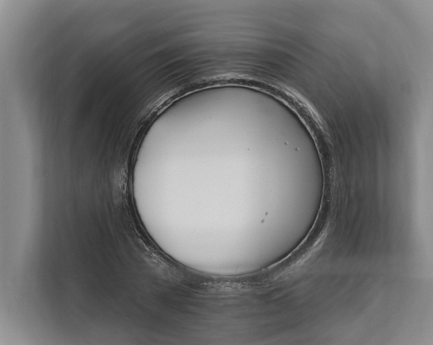 X0000112360785200908271252