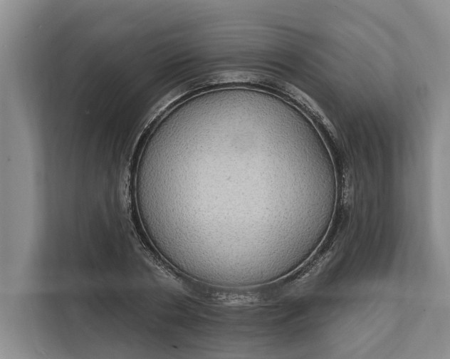 X0000112360786200908271252