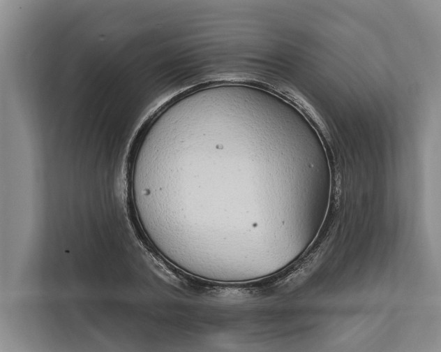 X0000112360787200908271252