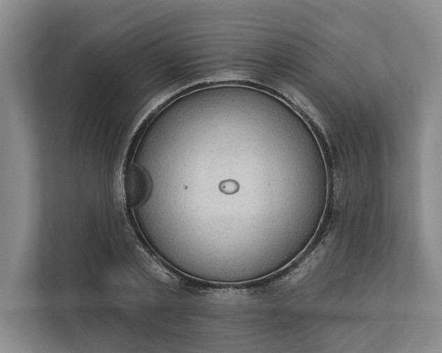 X0000112360789200908271252