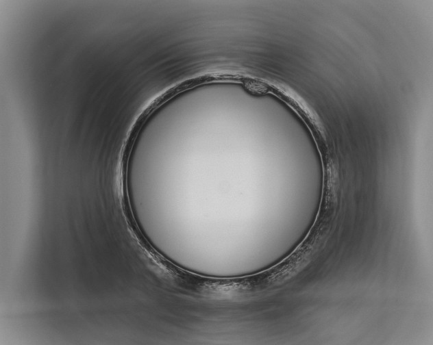 X0000112360791200908271252