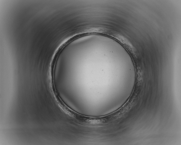 X0000112360792200908271252