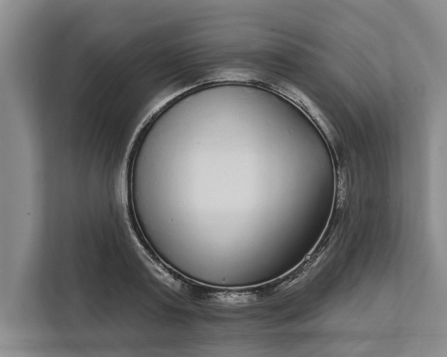 X0000112360795200908271252