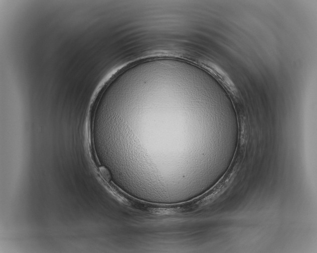 X0000112360796200908271252