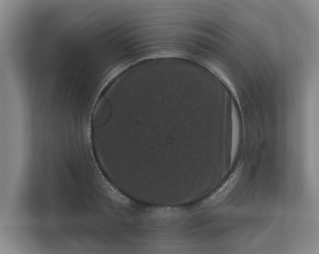 X0000112360797200908271252