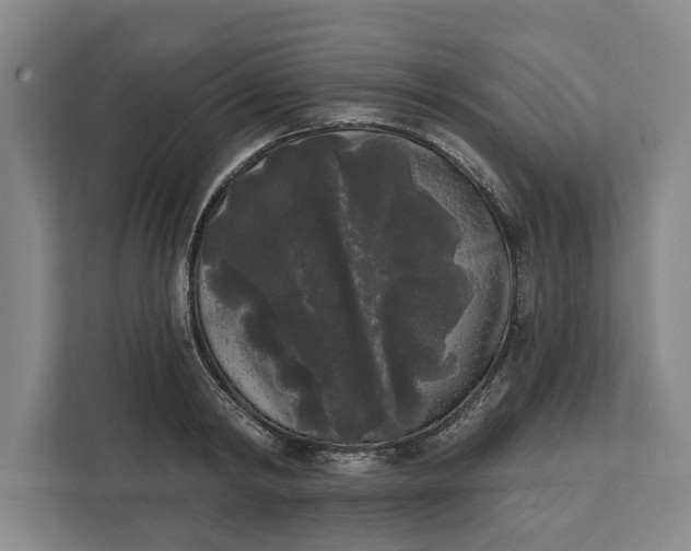 X0000112360798200908271252