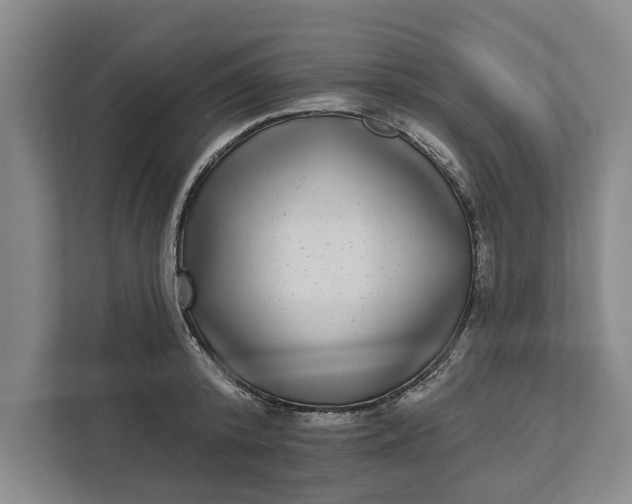 X0000112360800200908271252