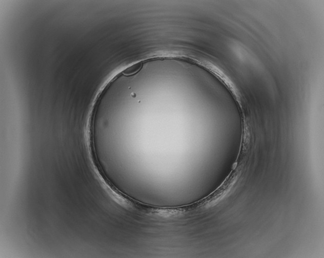 X0000112360803200908271252