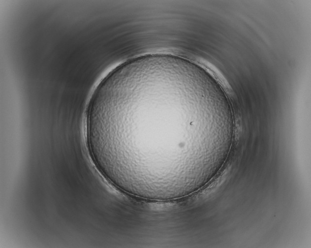 X0000112360804200908271252