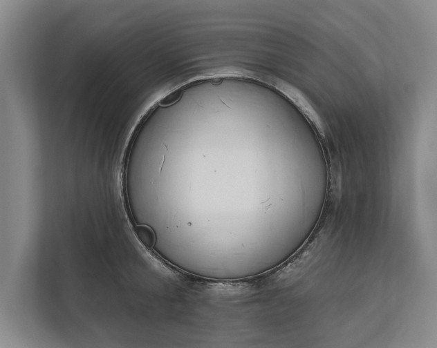 X0000112360805200908271252