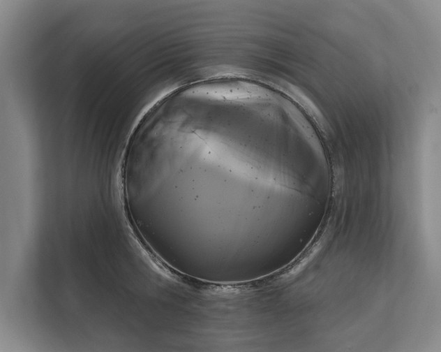 X0000112360806200908271252