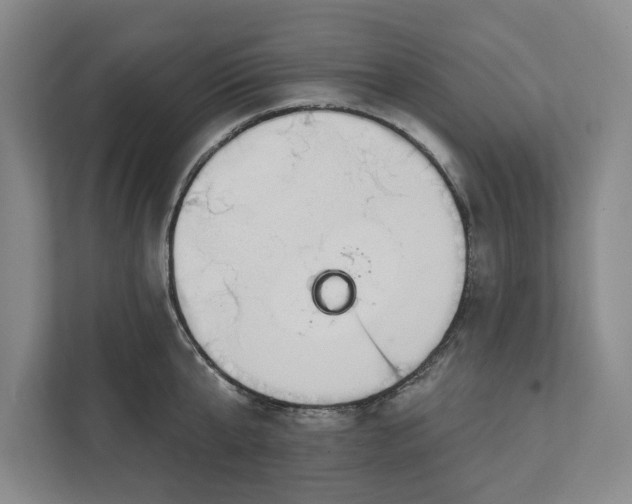 X0000112360807200908271252