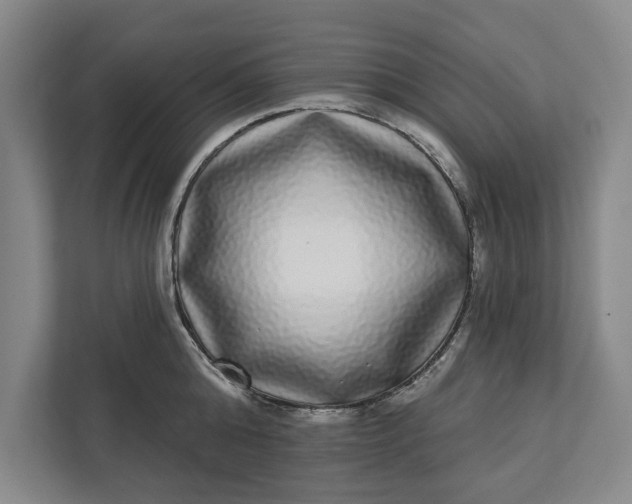 X0000112360808200908271252