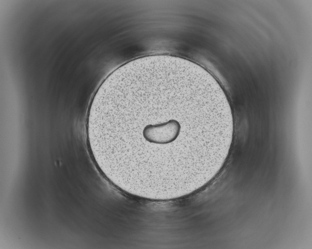 X0000112360810200908271252