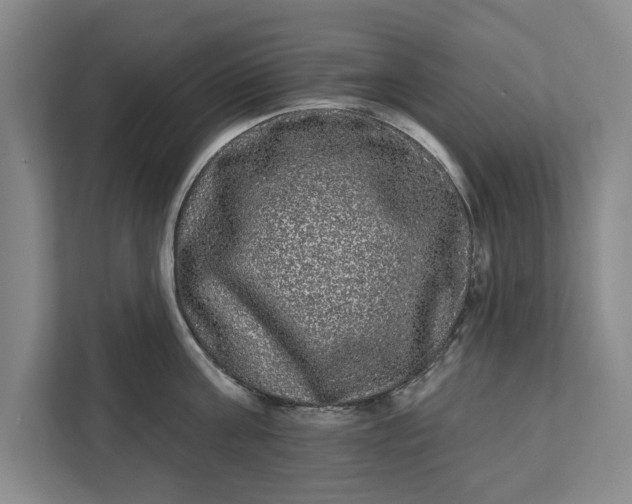 X0000112360811200908271252