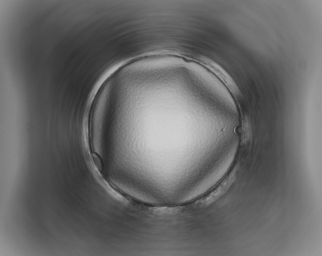 X0000112360812200908271252