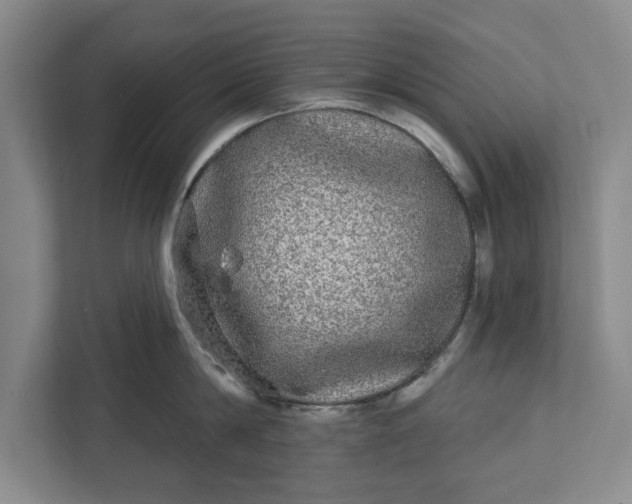 X0000112360814200908271252