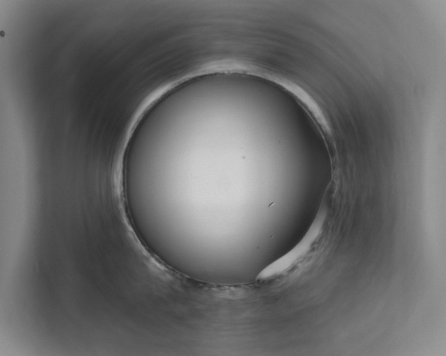 X0000112360815200908271252