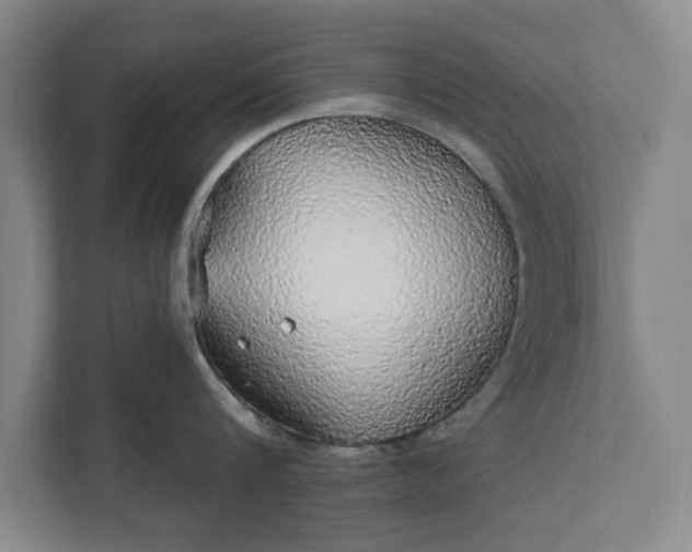 X0000112360816200908271252