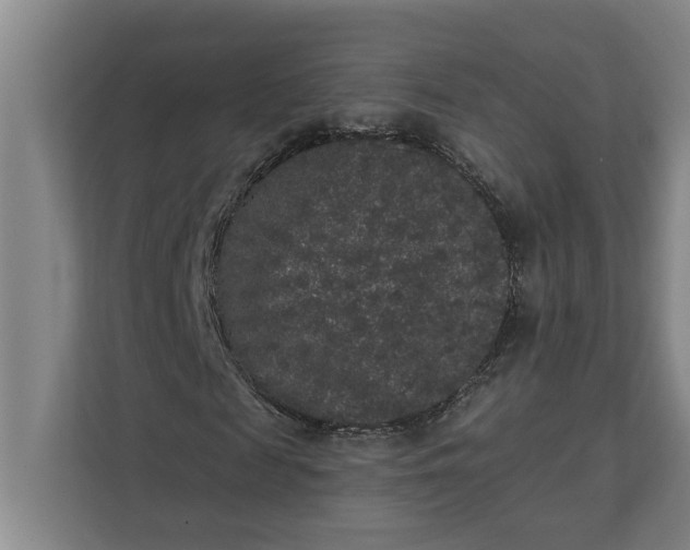 X0000112360817200908271251