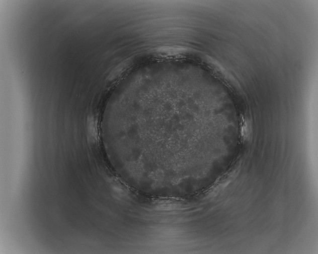 X0000112360819200908271251