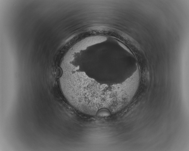 X0000112360822200908271251