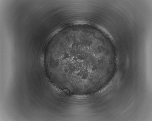 X0000112360825200908271251