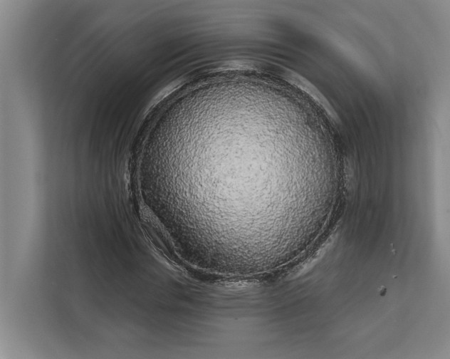 X0000112360826200908271251