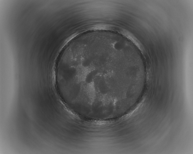 X0000112360829200908271251