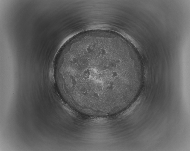 X0000112360830200908271251