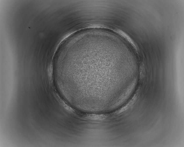 X0000112360831200908271251