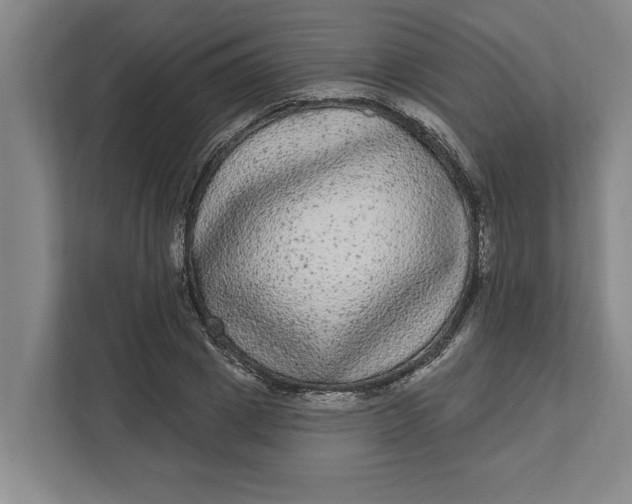 X0000112360833200908271251