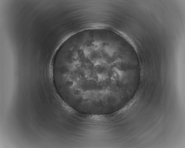 X0000112360835200908271251