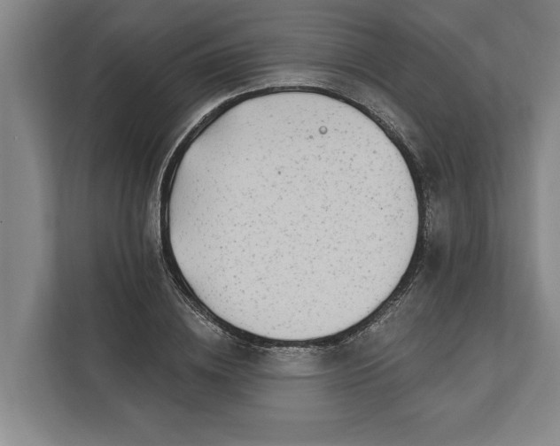 X0000112360836200908271251