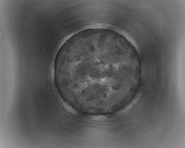 X0000112360837200908271251