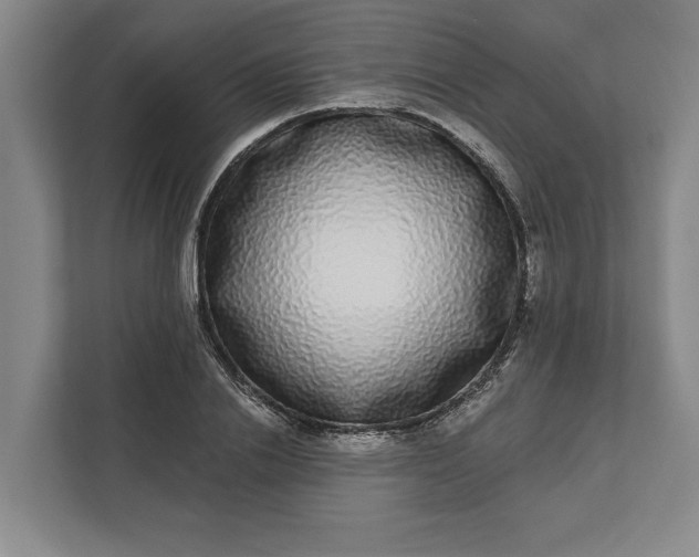 X0000112360838200908271251