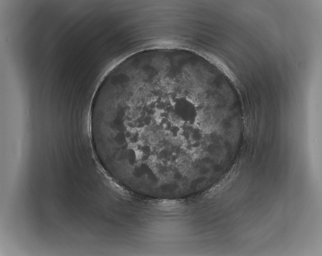 X0000112360839200908271251